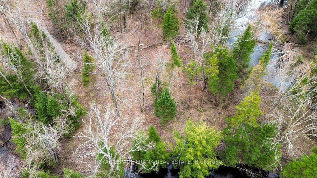 Photo 36 of 173 Lean Drive, North Kawartha — HOMEH