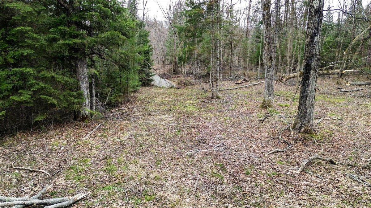 Photo 37 of 173 Lean Drive, North Kawartha — HOMEH