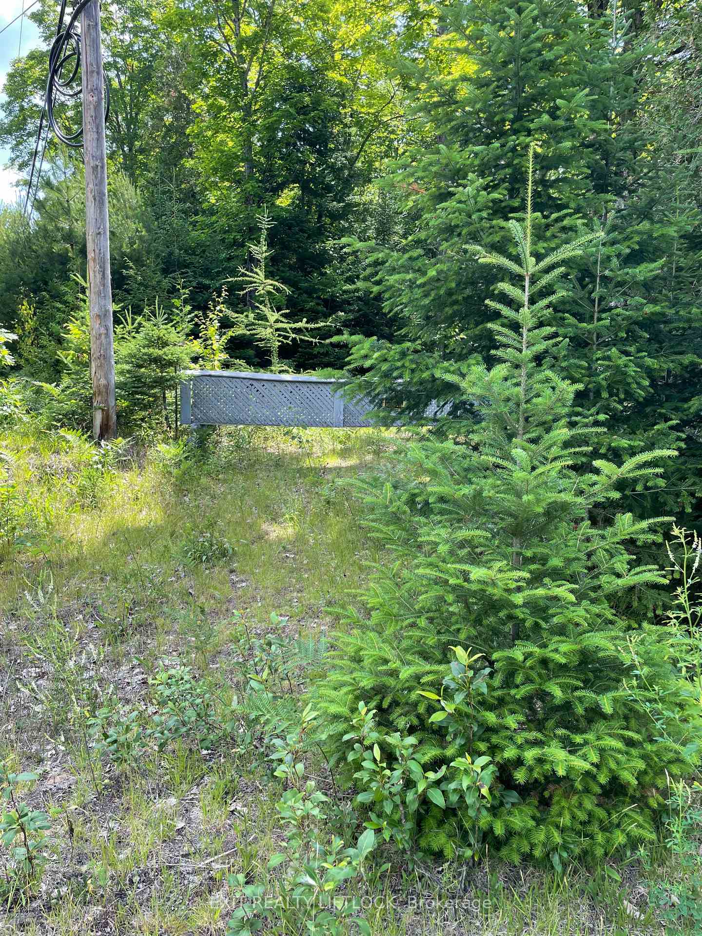 Photo 6 of 1387 County Road 620, North Kawartha — HOMEH