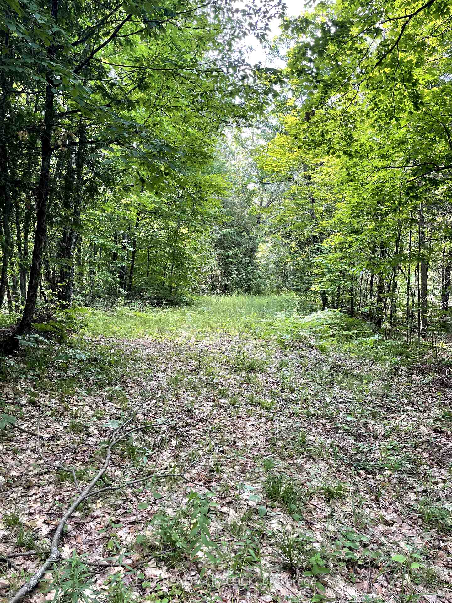 Photo 8 of 1387 County Road 620, North Kawartha — HOMEH