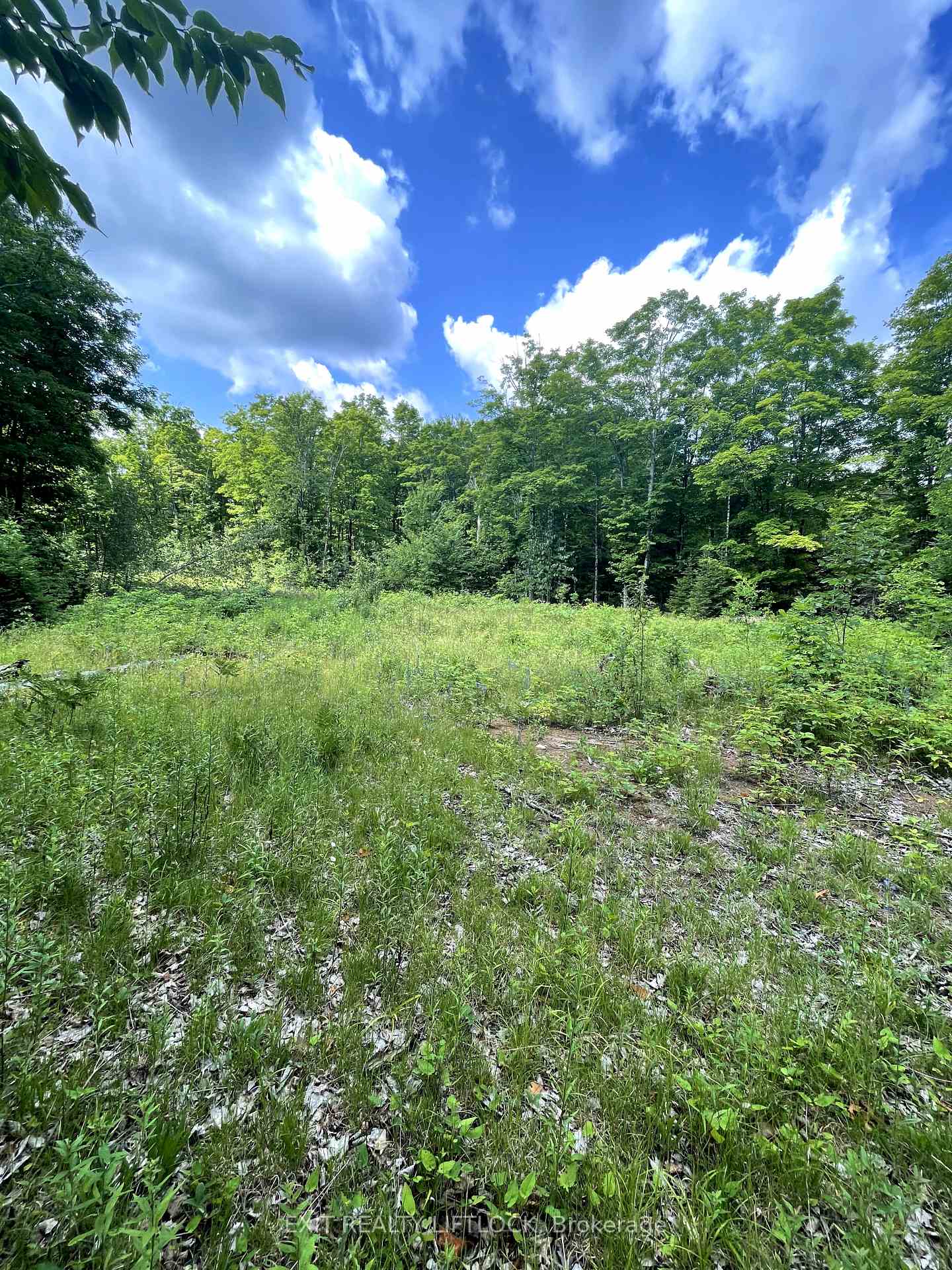 Photo 9 of 1387 County Road 620, North Kawartha — HOMEH