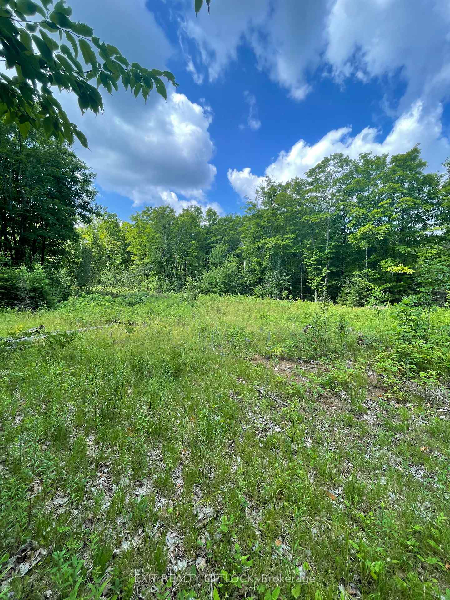 Photo 10 of 1387 County Road 620, North Kawartha — HOMEH