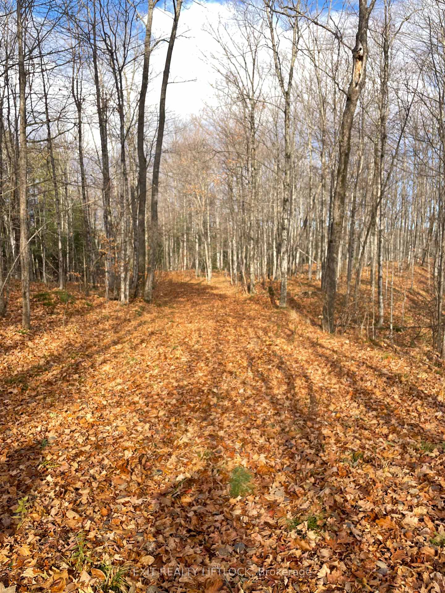 Photo 11 of 1387 County Road 620, North Kawartha — HOMEH