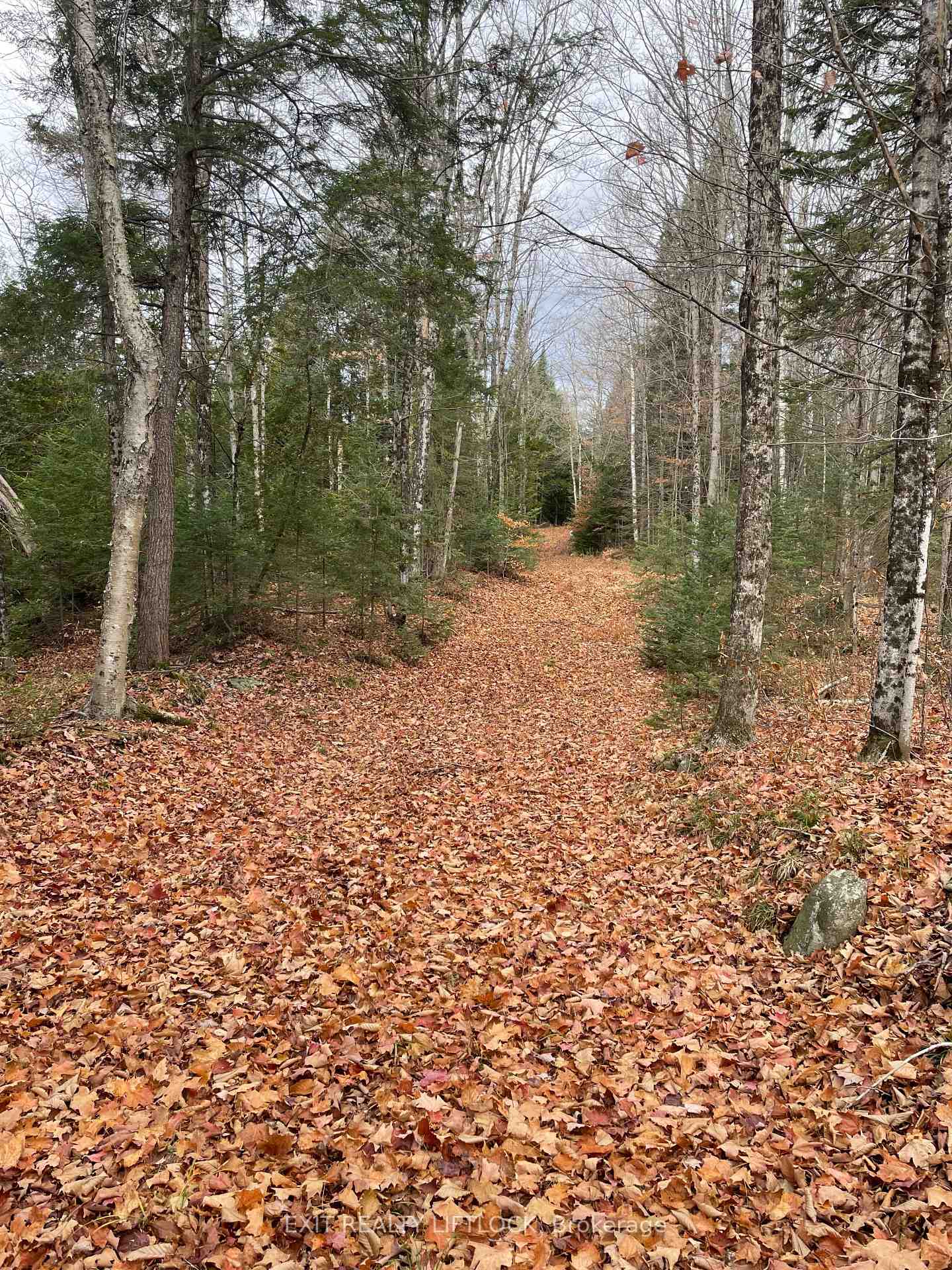 Photo 12 of 1387 County Road 620, North Kawartha — HOMEH