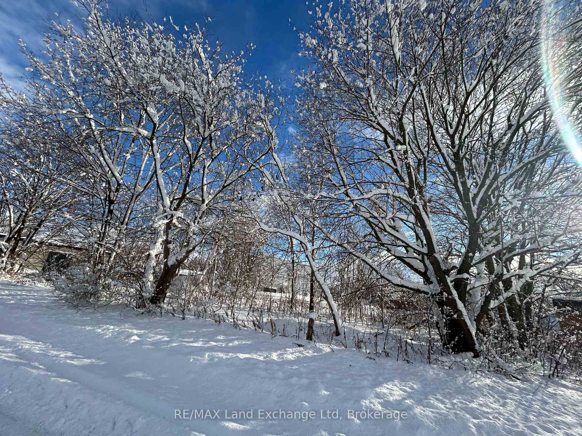 Photo 3 of 17 Albert Street, North Huron, Wingham — HOMEH