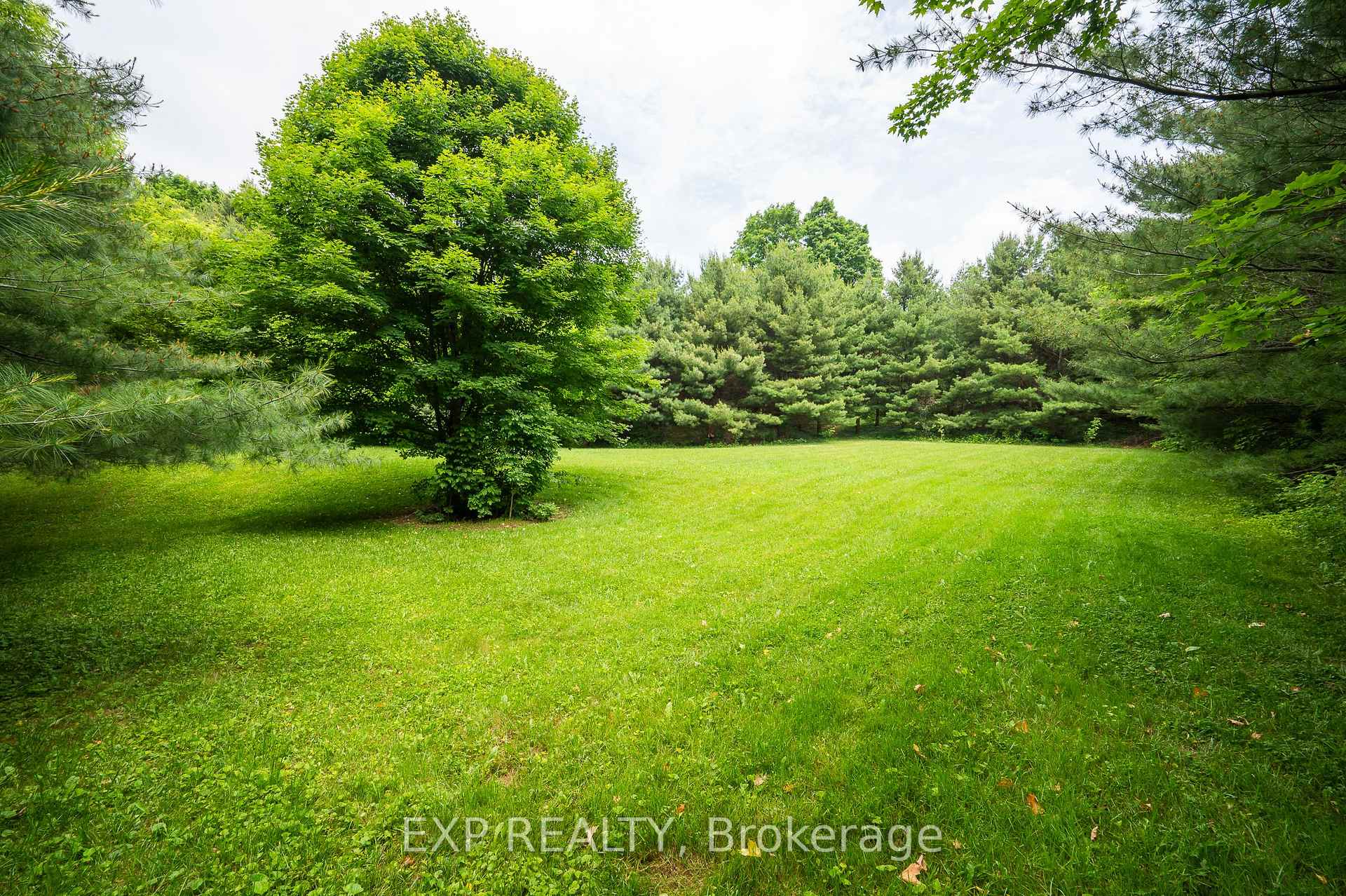 Photo 21 of 7633 Appleby Line, Milton, Rural Milton West — HOMEH