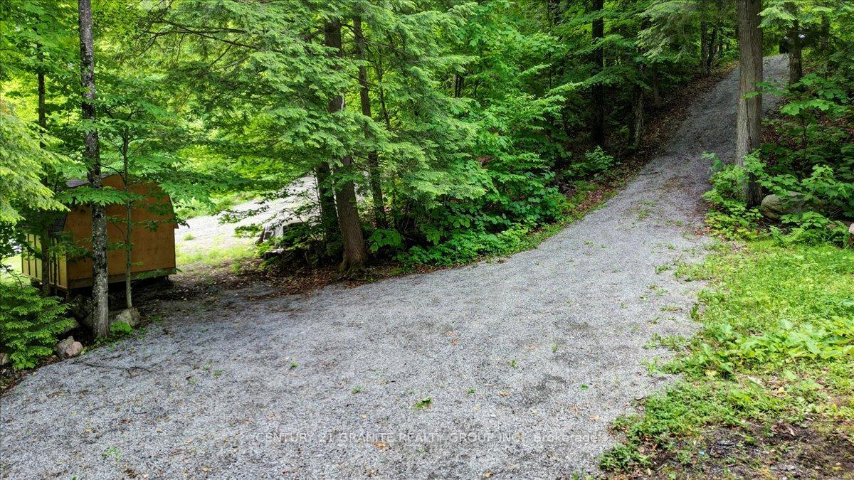 Photo 19 of 71 Fire Route 74 B, North Kawartha — HOMEH