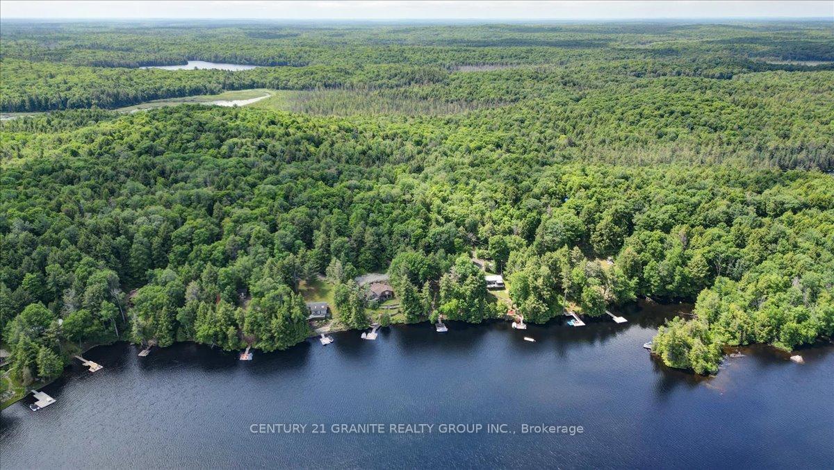 Photo 44 of 71 Fire Route 74 B, North Kawartha — HOMEH
