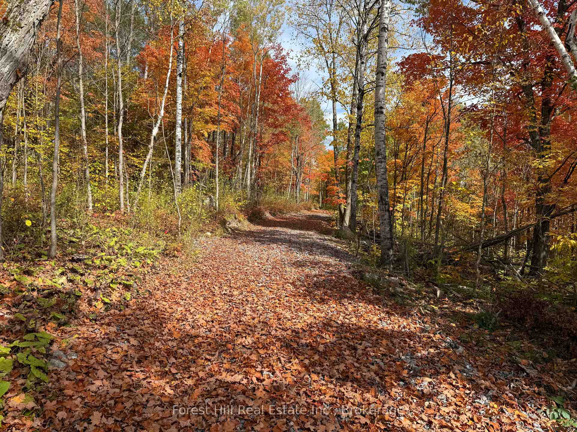 Photo 15 of Jacks Lake, Parry Sound Remote Area, Golden Valley — HOMEH