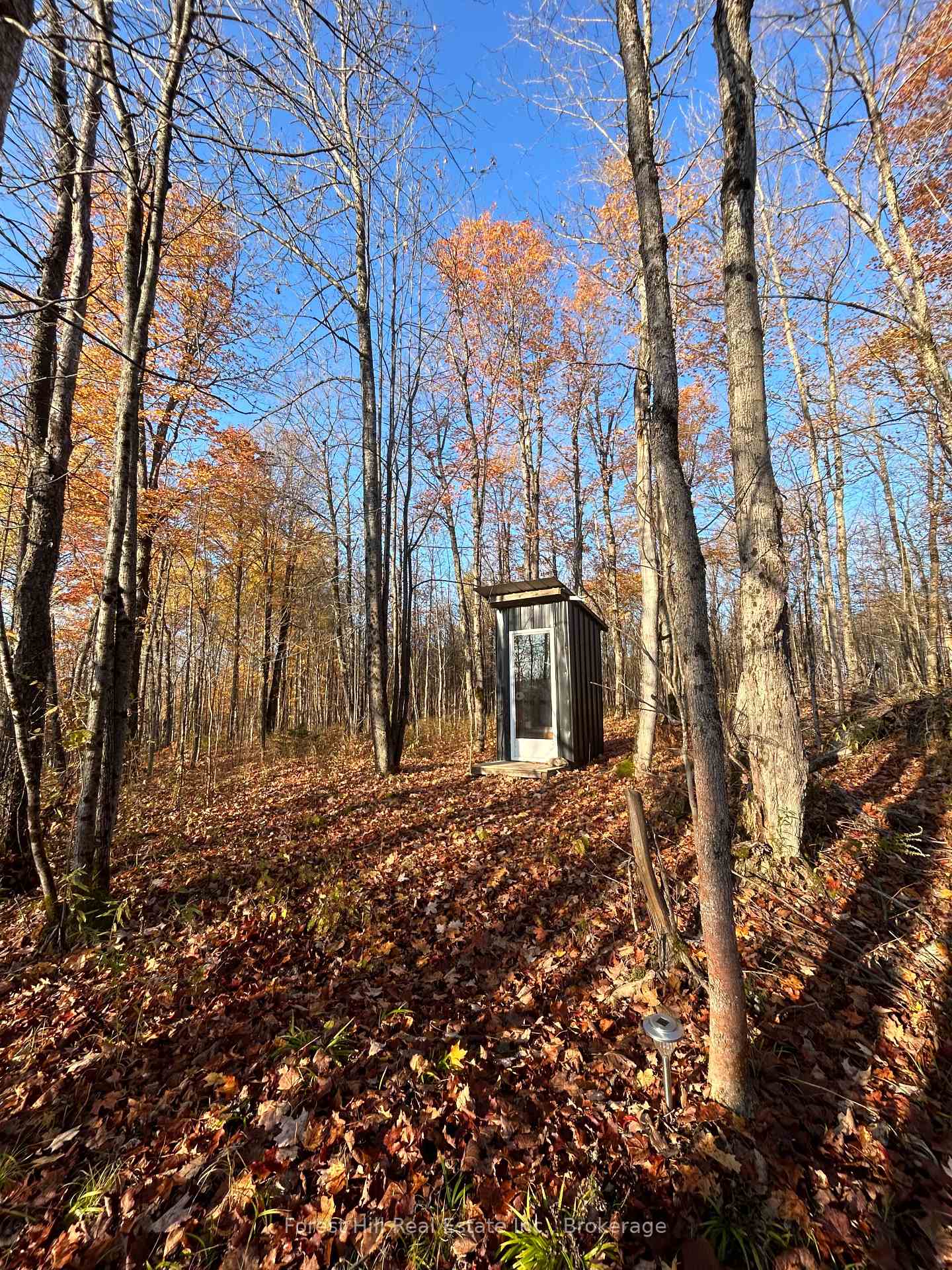 Photo 18 of Jacks Lake, Parry Sound Remote Area, Golden Valley — HOMEH