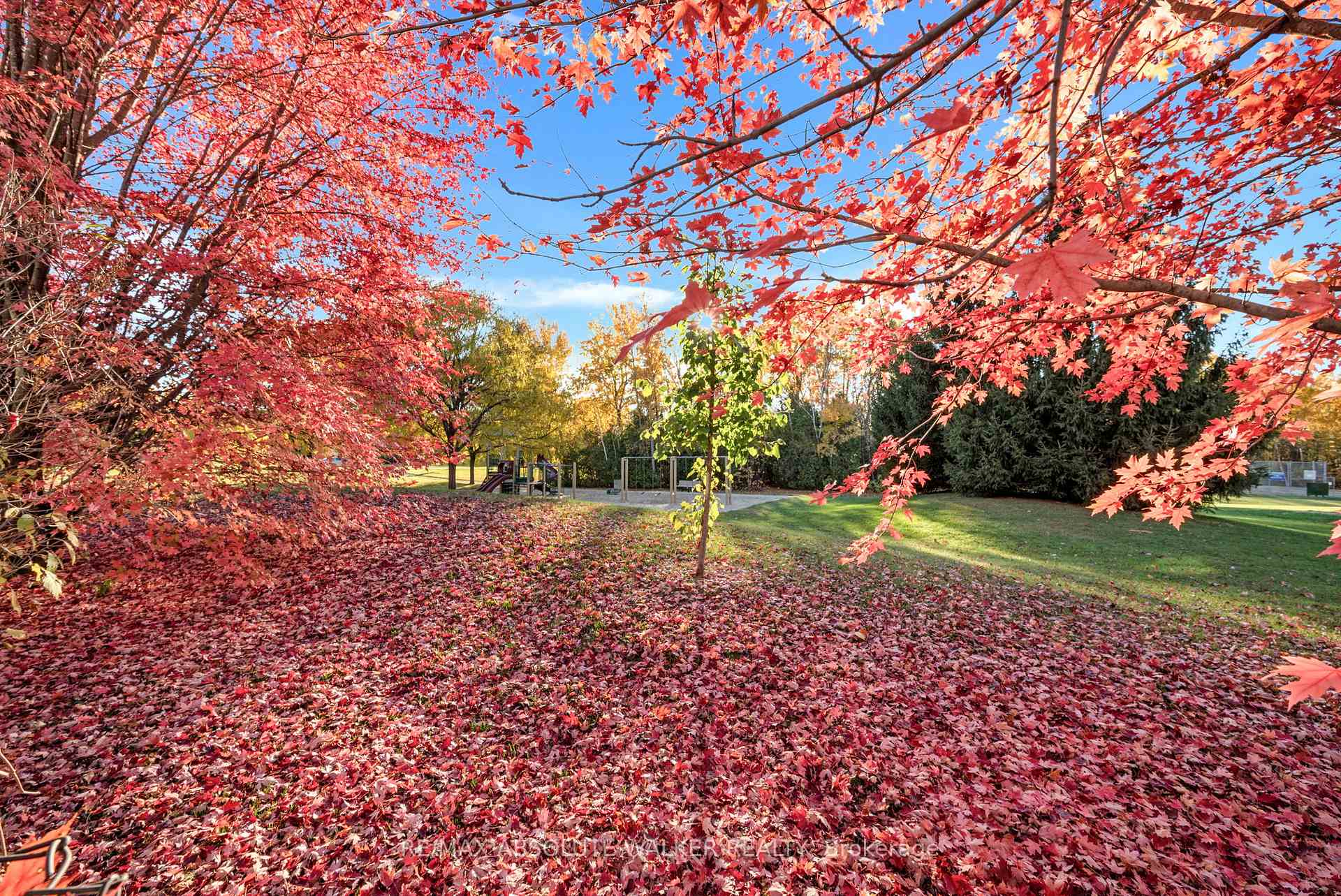 Photo 40 of 126 Forestcrest Street, Ottawa, Chapel Hill — HOMEH