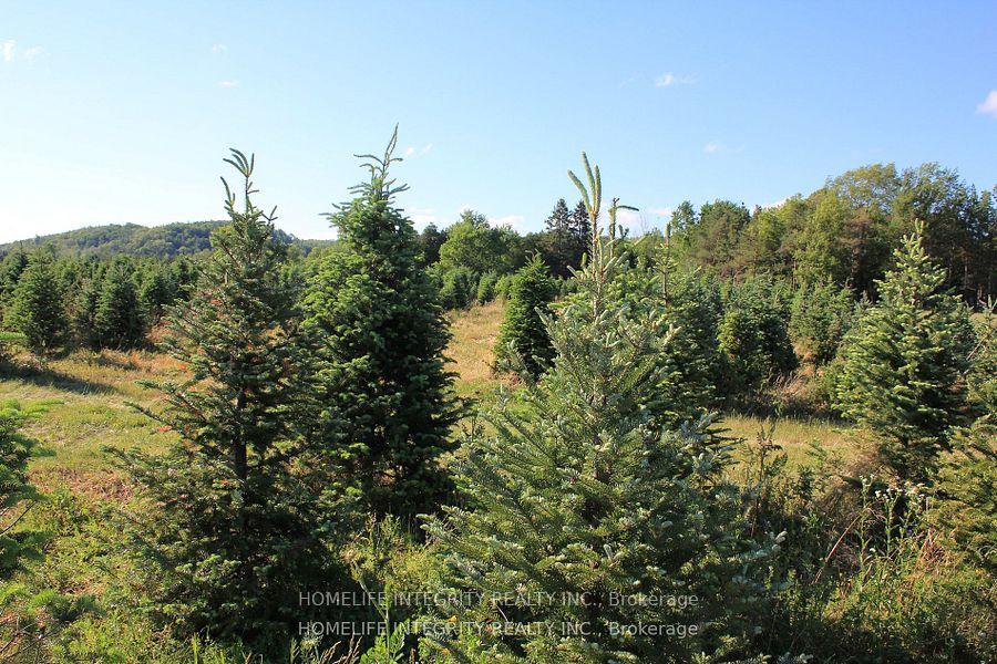 Photo 2 of 628326 15th Side Road, Mulmur, Rural Mulmur — HOMEH