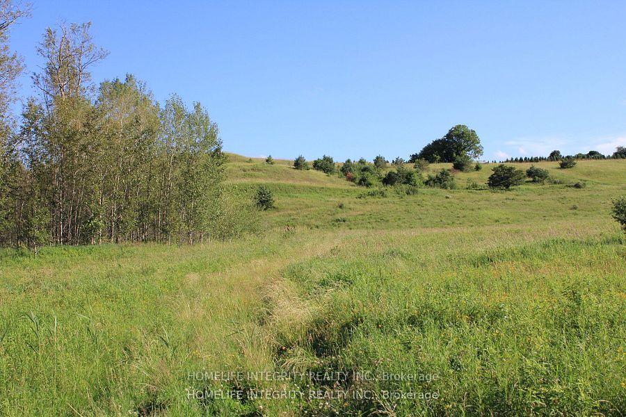Photo 9 of 628326 15th Side Road, Mulmur, Rural Mulmur — HOMEH