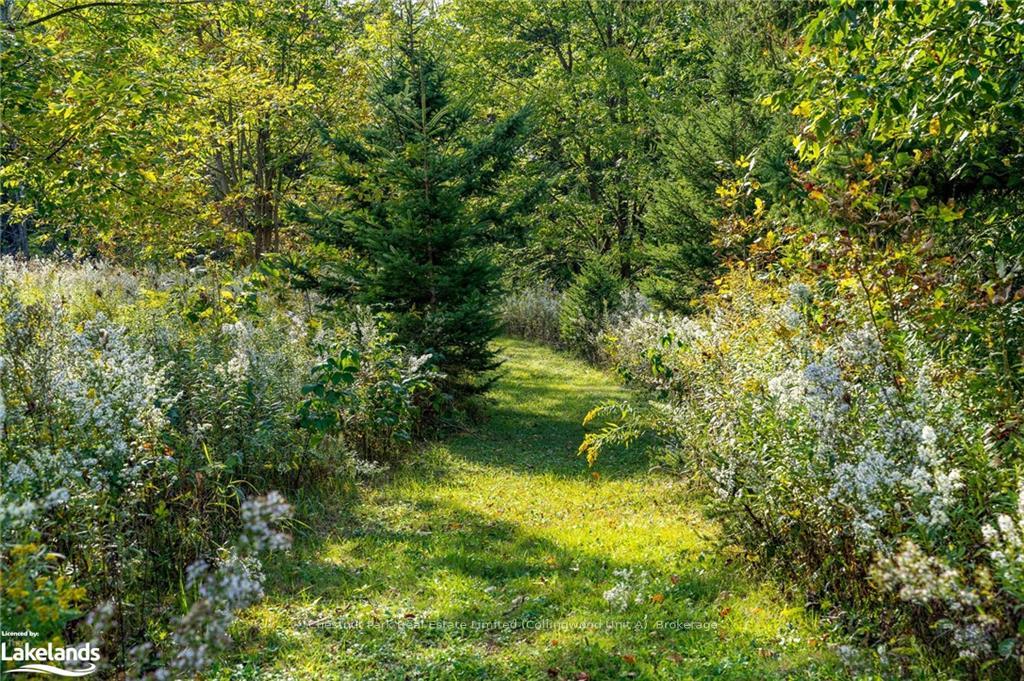 Photo 16 of 627315 15TH Side Road, Mulmur, Rural Mulmur — HOMEH