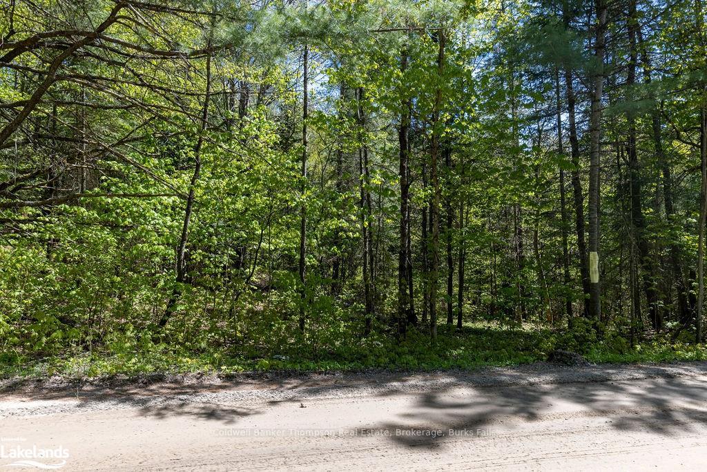 Photo 12 of Station Road W, Perry — HOMEH