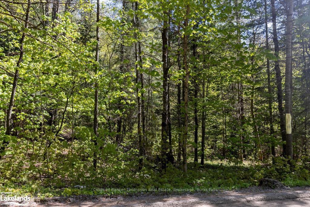 Photo 13 of Station Road W, Perry — HOMEH