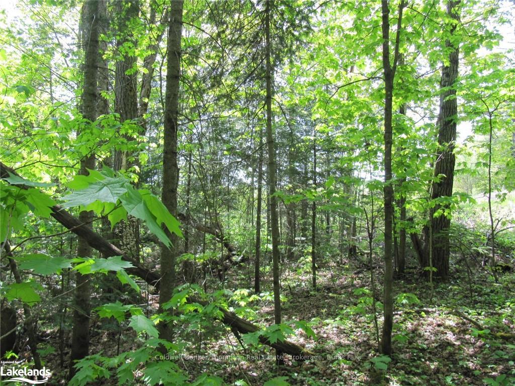 Photo 14 of Station Road W, Perry — HOMEH