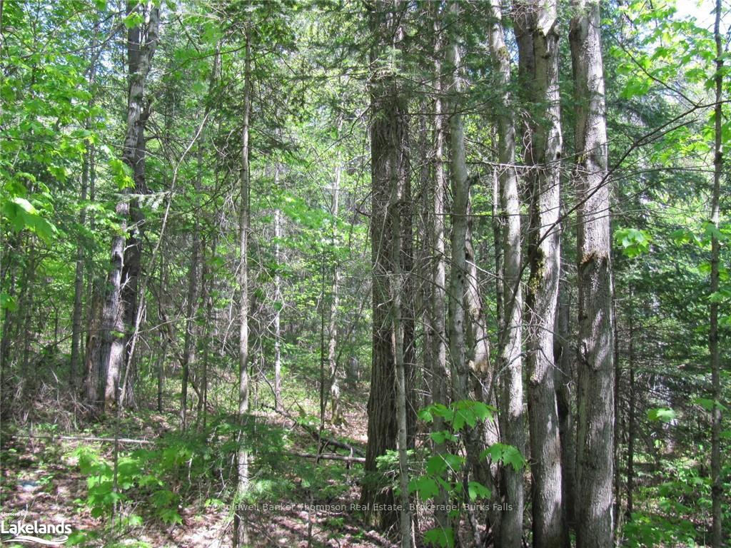 Photo 15 of Station Road W, Perry — HOMEH