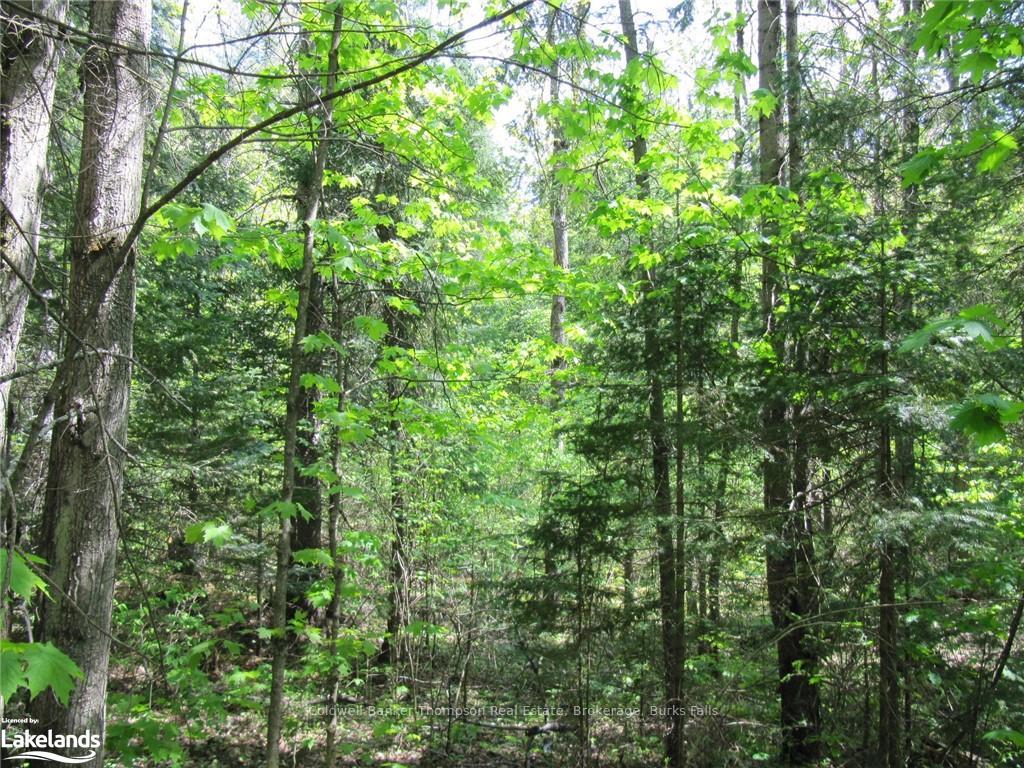 Photo 16 of Station Road W, Perry — HOMEH