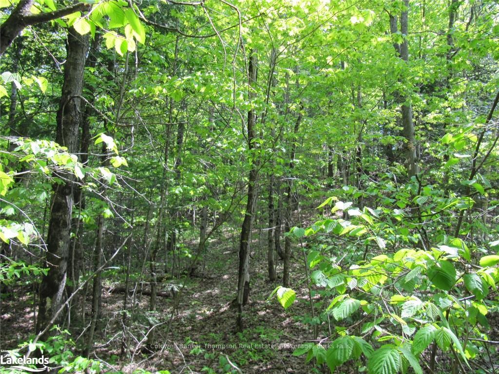 Photo 17 of Station Road W, Perry — HOMEH