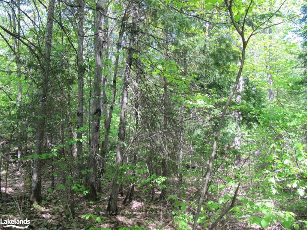 Photo 18 of Station Road W, Perry — HOMEH