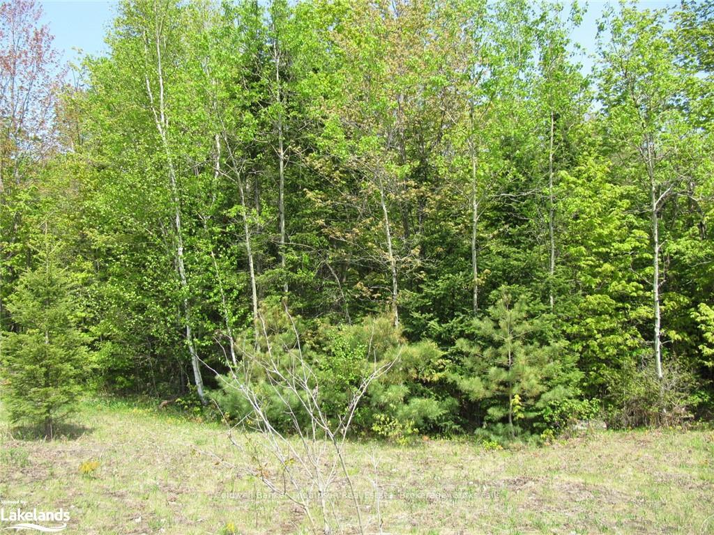 Photo 19 of Station Road W, Perry — HOMEH