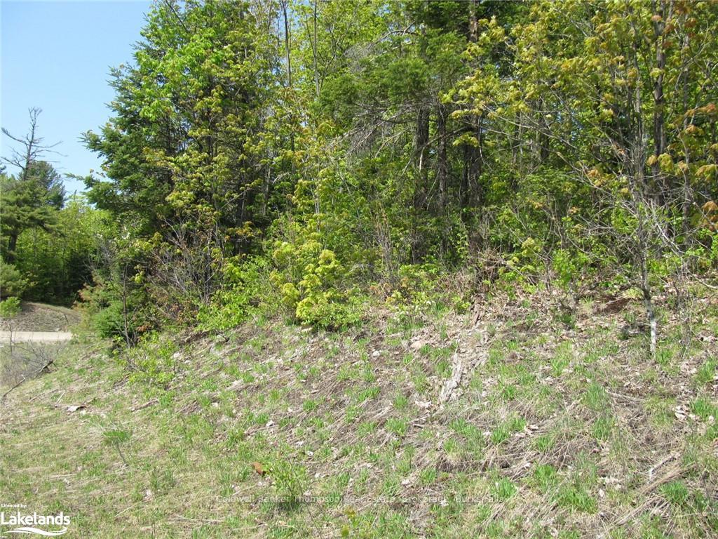 Photo 21 of Station Road W, Perry — HOMEH