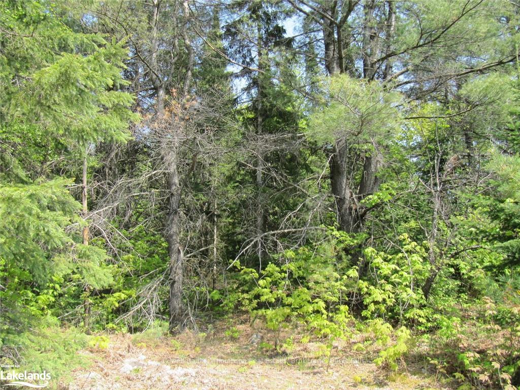 Photo 22 of Station Road W, Perry — HOMEH
