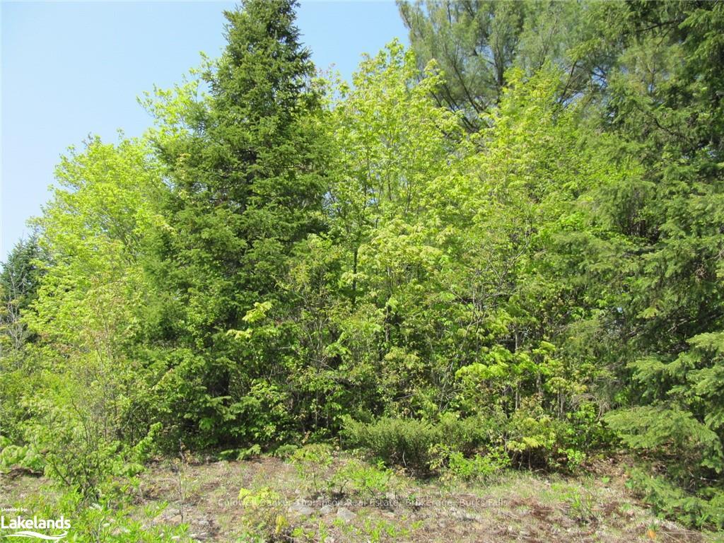 Photo 23 of Station Road W, Perry — HOMEH