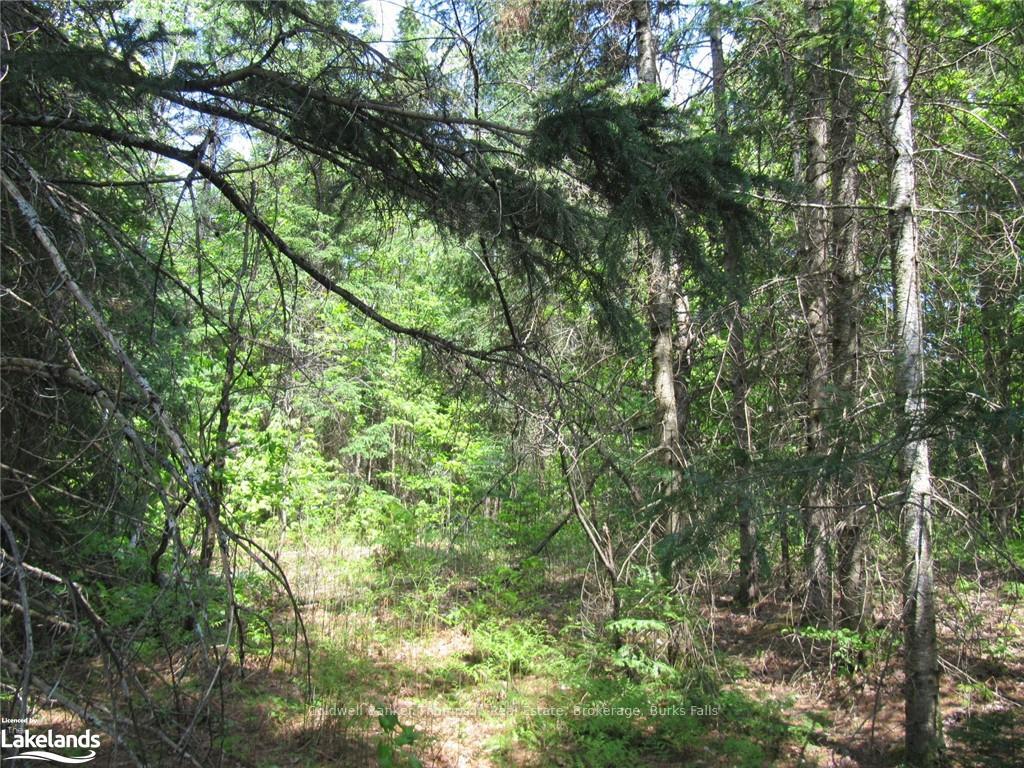 Photo 24 of Station Road W, Perry — HOMEH
