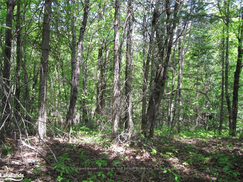 Photo 25 of Station Road W, Perry — HOMEH