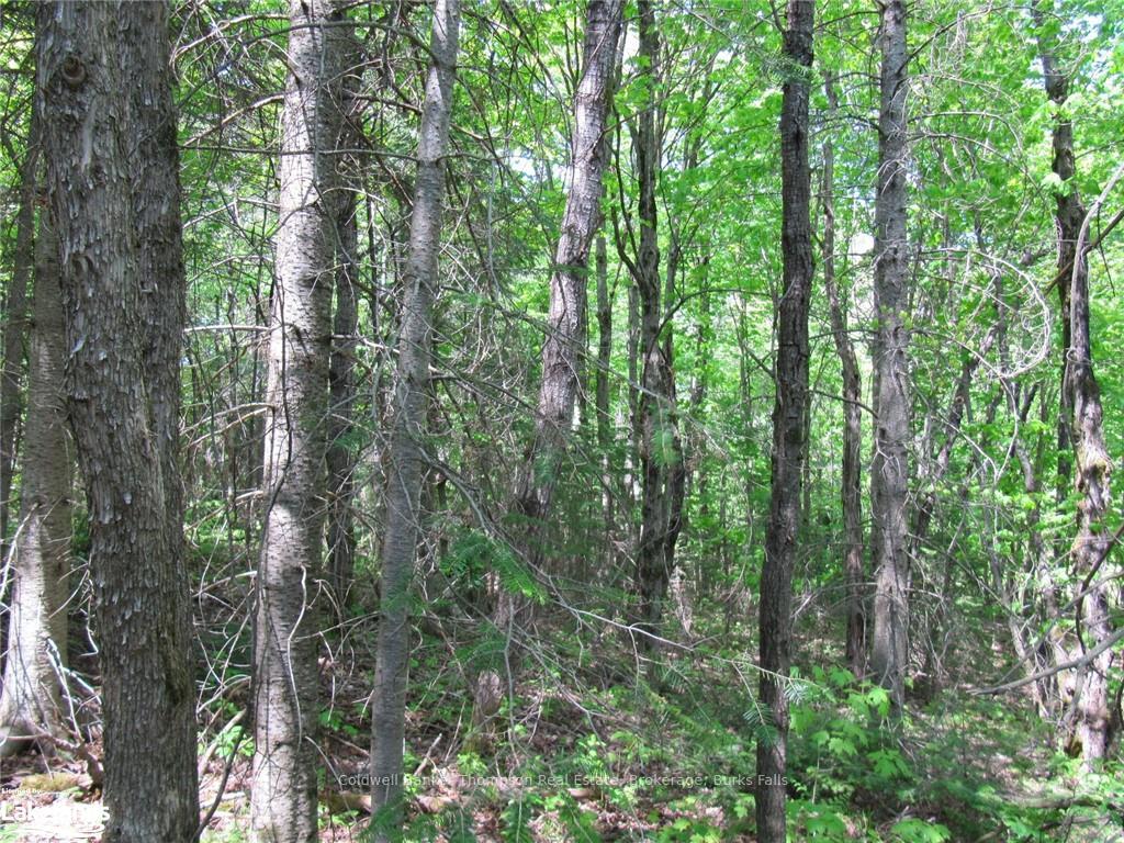 Photo 26 of Station Road W, Perry — HOMEH
