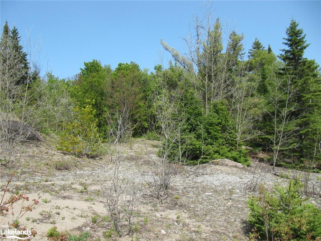 Photo 29 of Station Road W, Perry — HOMEH