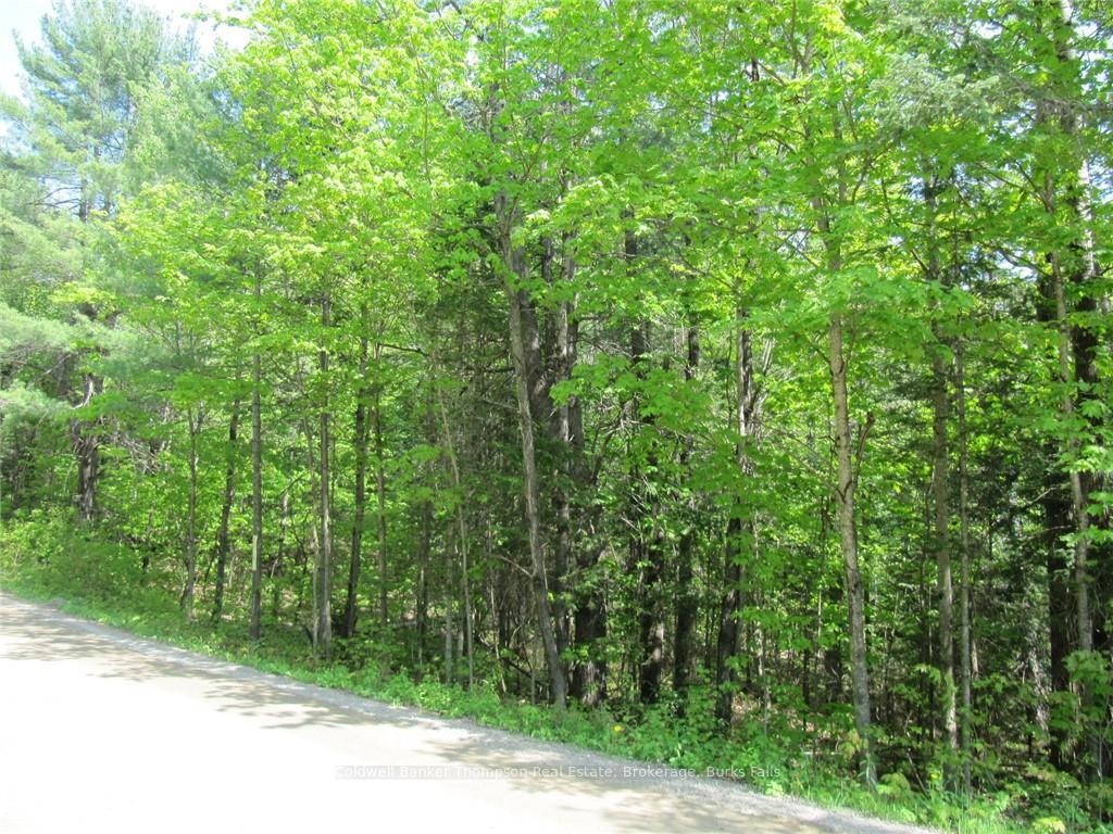 Photo 34 of Station Road W, Perry — HOMEH
