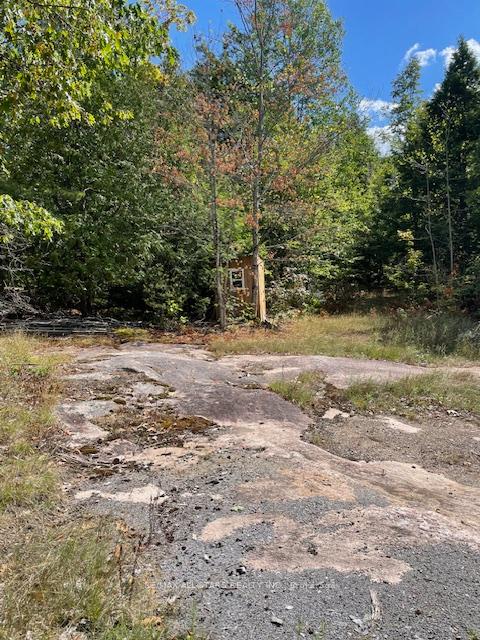 Photo 4 of 347 Lasswade Road, North Kawartha — HOMEH