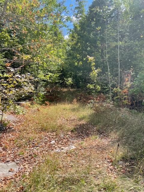 Photo 5 of 347 Lasswade Road, North Kawartha — HOMEH