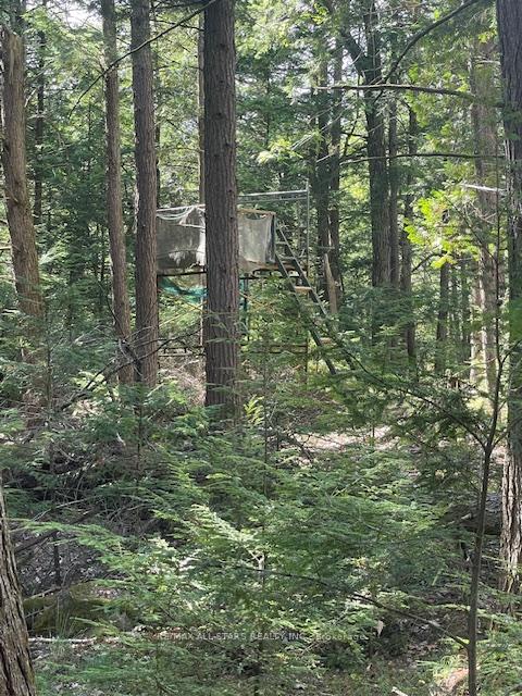 Photo 11 of 347 Lasswade Road, North Kawartha — HOMEH