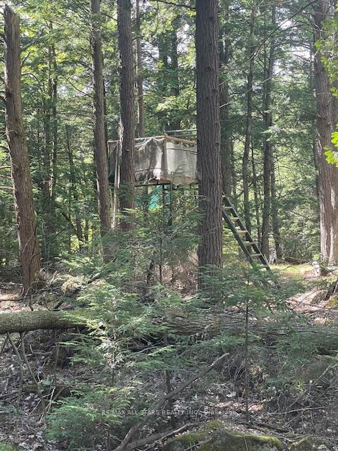 Photo 12 of 347 Lasswade Road, North Kawartha — HOMEH