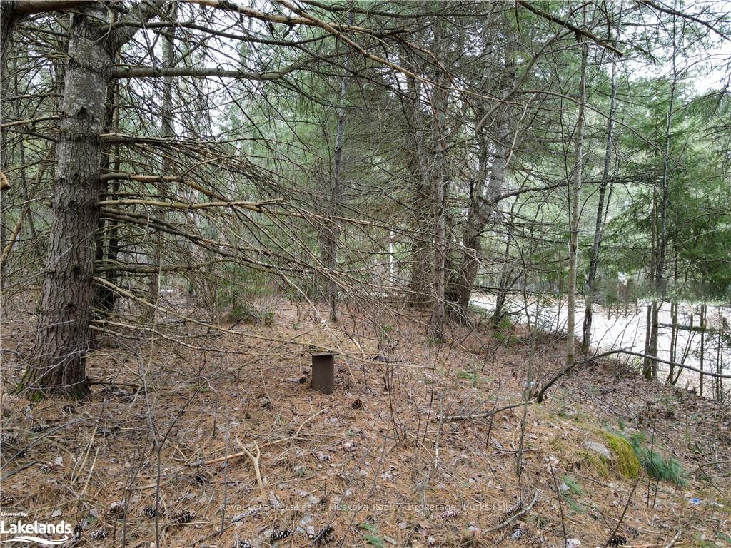 Photo 4 of Unit Lot 2, Old Muskoka Road, Perry, Emsdale — HOMEH