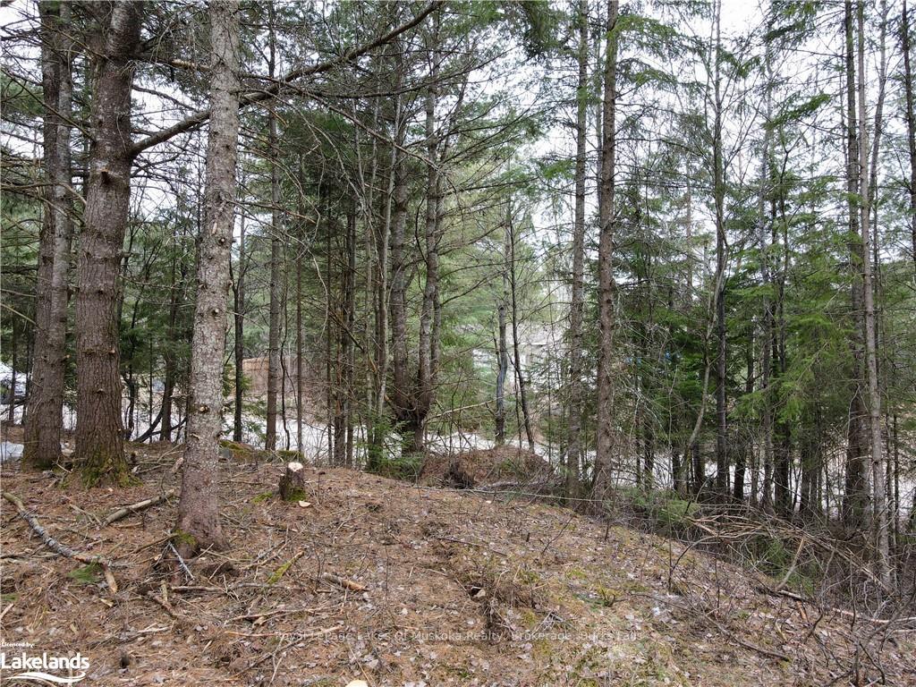 Photo 5 of Unit Lot 2, Old Muskoka Road, Perry, Emsdale — HOMEH
