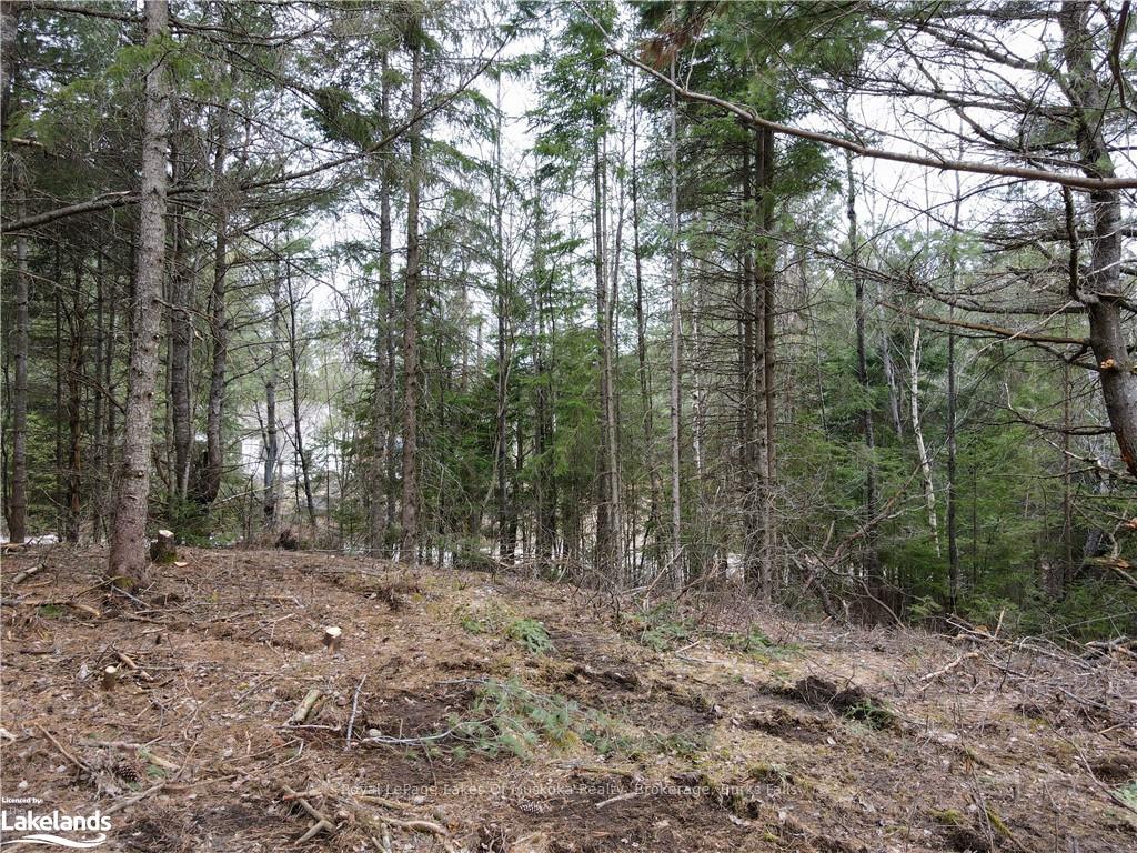 Photo 6 of Unit Lot 2, Old Muskoka Road, Perry, Emsdale — HOMEH