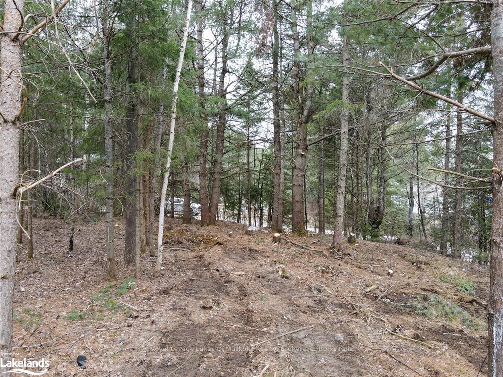 Photo 7 of Unit Lot 2, Old Muskoka Road, Perry, Emsdale — HOMEH
