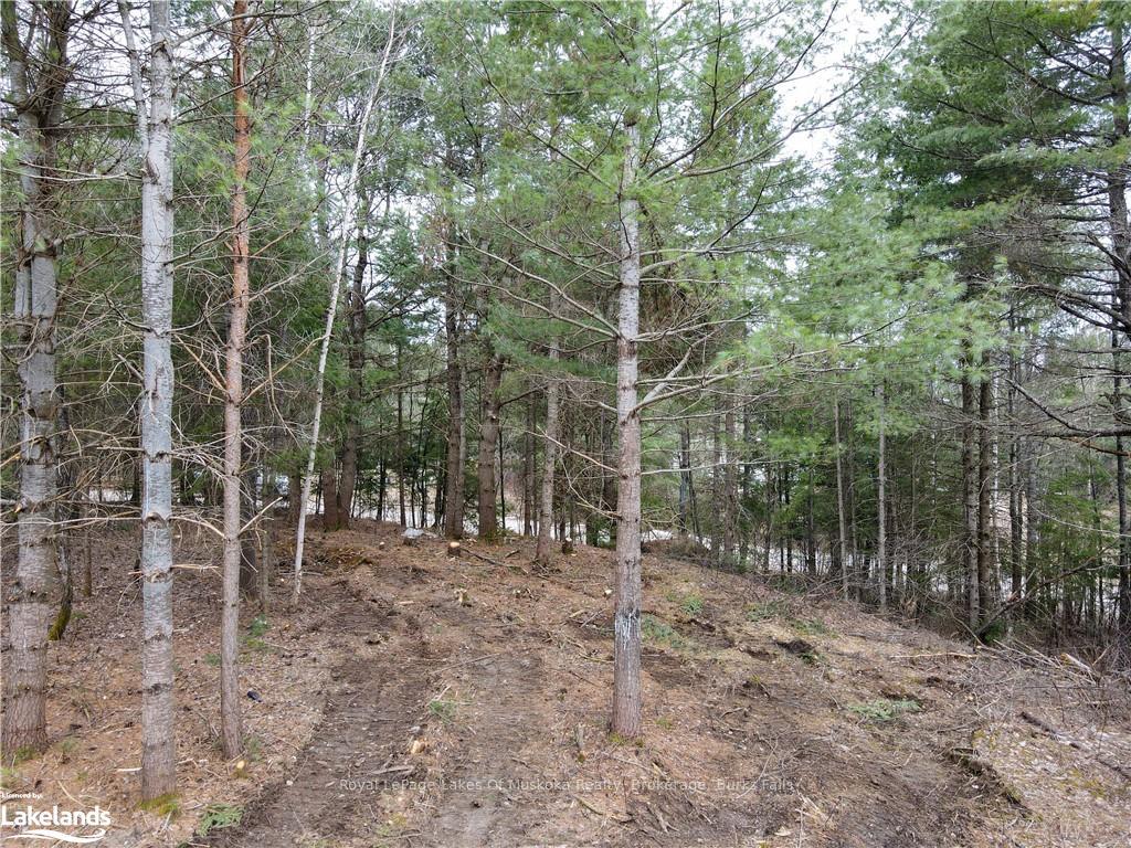 Photo 8 of Unit Lot 2, Old Muskoka Road, Perry, Emsdale — HOMEH