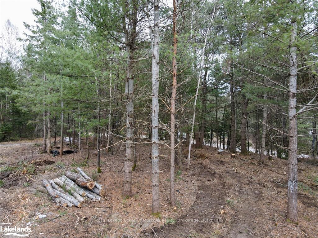 Photo 9 of Unit Lot 2, Old Muskoka Road, Perry, Emsdale — HOMEH