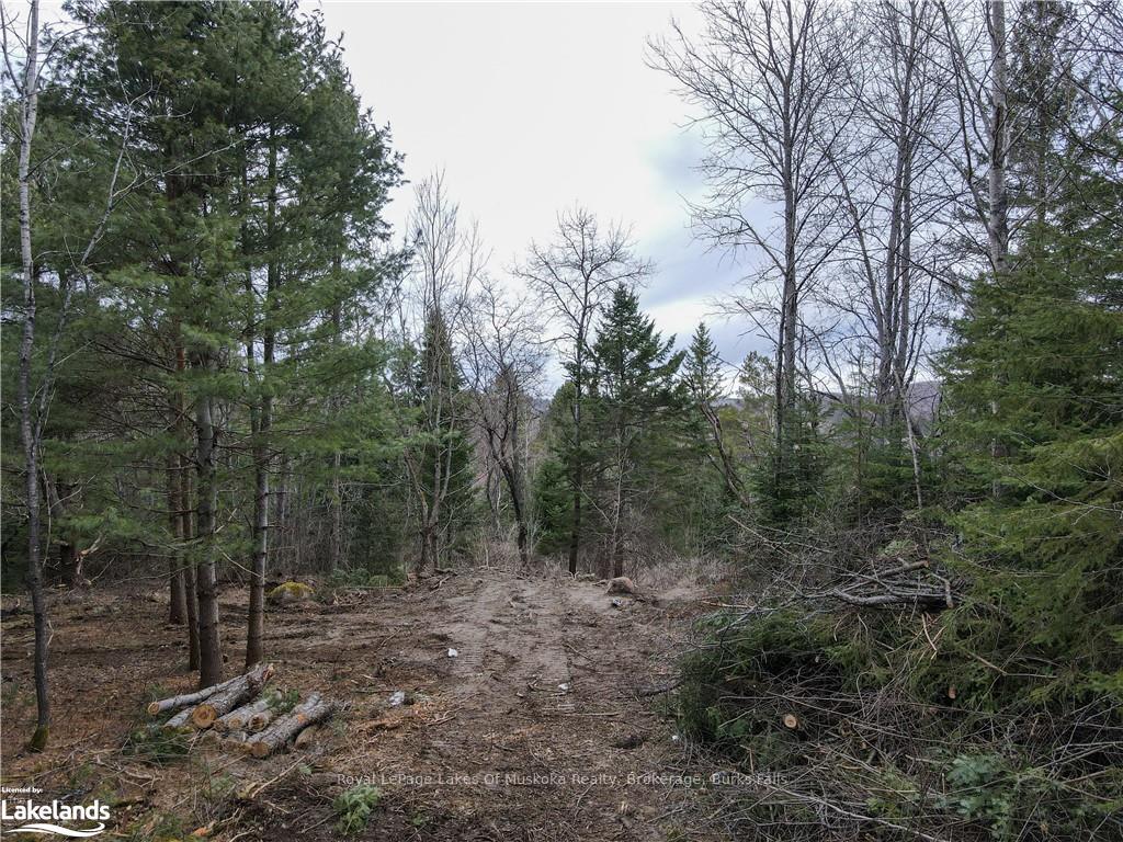 Photo 10 of Unit Lot 2, Old Muskoka Road, Perry, Emsdale — HOMEH