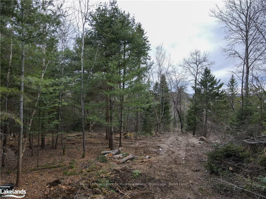 Photo 11 of Unit Lot 2, Old Muskoka Road, Perry, Emsdale — HOMEH