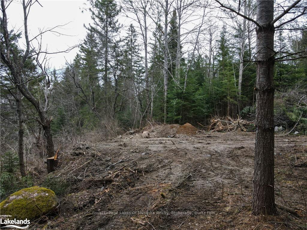 Photo 16 of Unit Lot 2, Old Muskoka Road, Perry, Emsdale — HOMEH