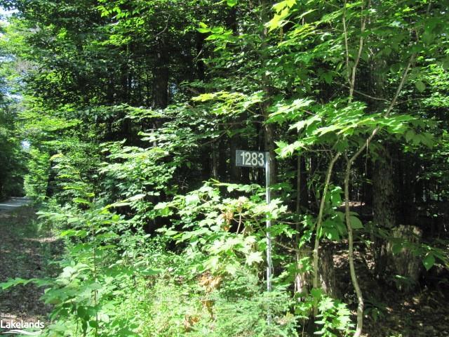 Photo 3 of 1283 Bay Lake Road, Perry — HOMEH