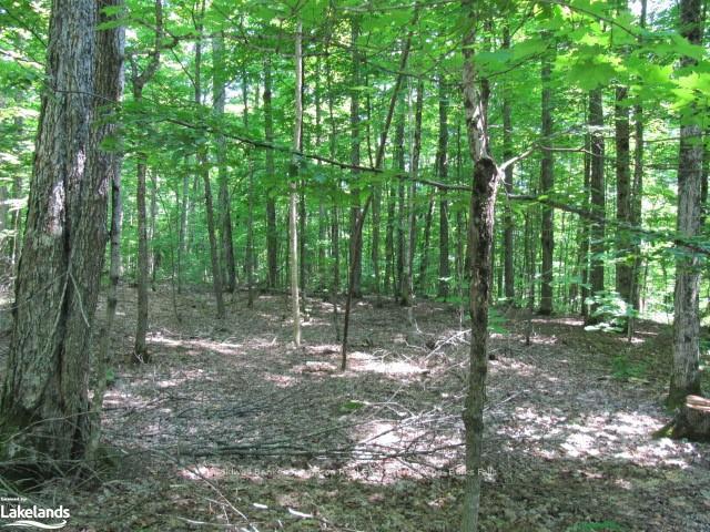 Photo 4 of 1283 Bay Lake Road, Perry — HOMEH