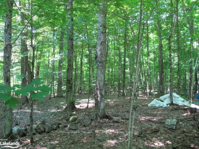 Photo 5 of 1283 Bay Lake Road, Perry — HOMEH
